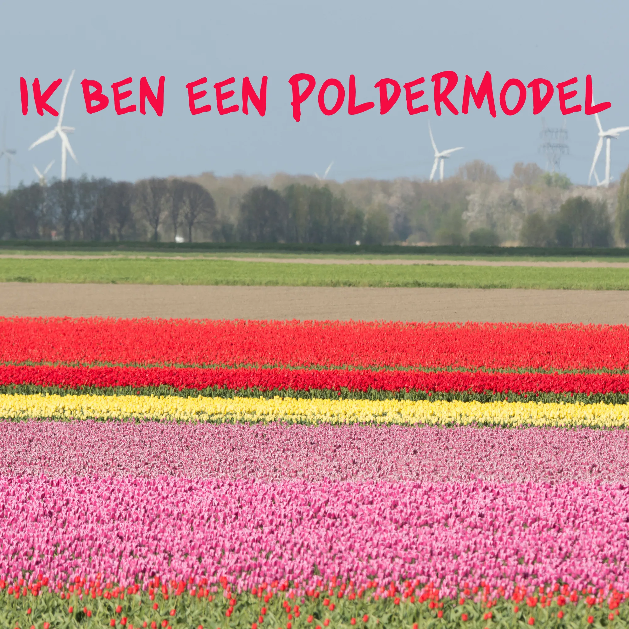 Flevopolder poldermodel
